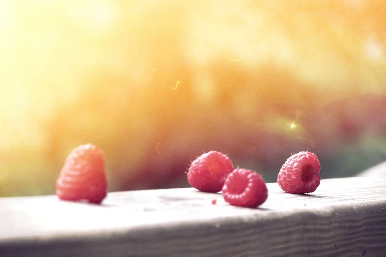Framboises dans un bol